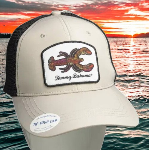 Tommy bahama maine lobster - tommy,