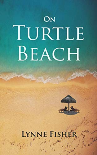 Turtle beach fisher - by,