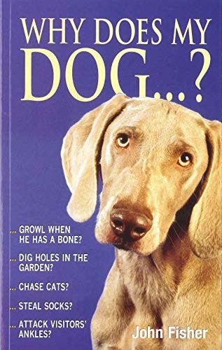 Why does dog - why, by