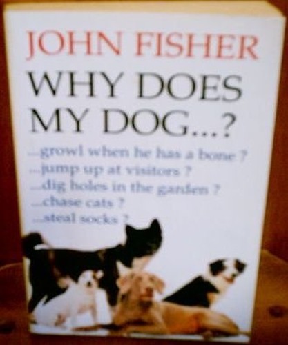 Why does dog by fisher - why,