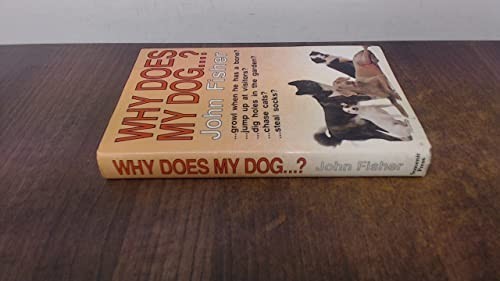 Why does dog by john - does,