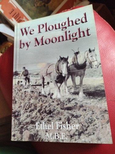 Ploughed moonlight by - ploughed, moonlight,