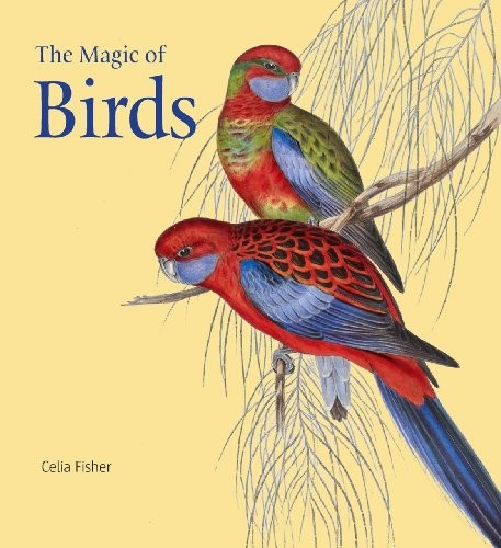 The magic birds fisher - the,