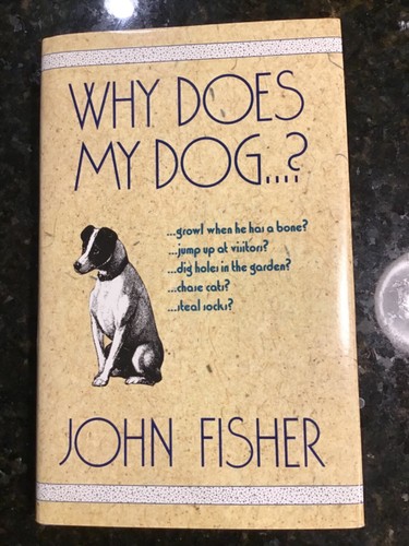 Why does dog by fisher - does,