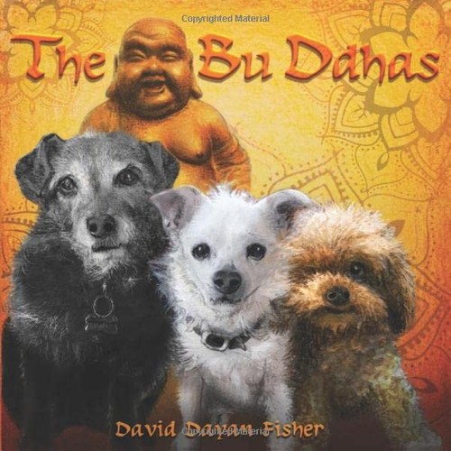 The ddhas fisher david - ddhas, by