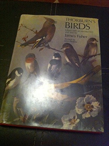 Thorburn birds james - by,