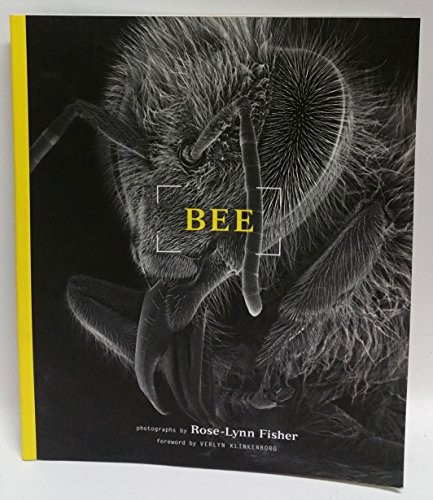 Bee rose lynn fisher - bee:,